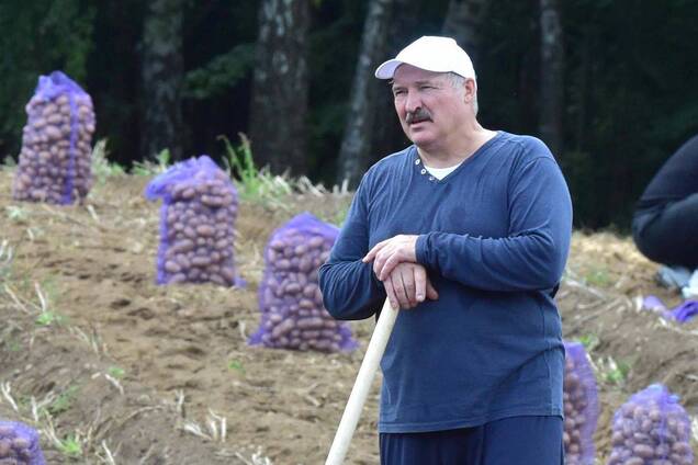 'Получили по ушам': Лукашенко приказал наказывать магазины за отсутствие картофеля