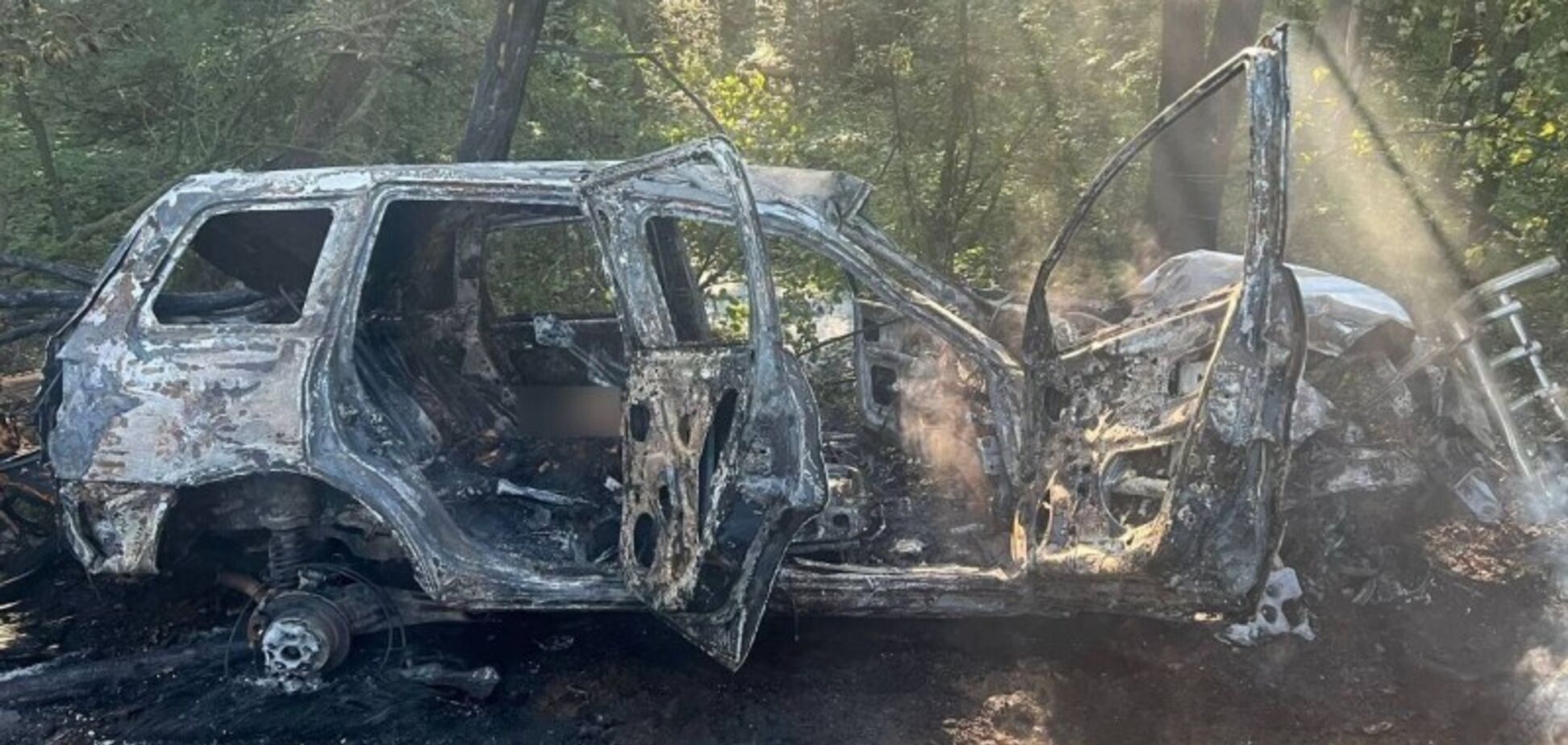 На Вінниччині авто злетіло в кювет і загорілося: водій загинув на місці, пасажир помер у лікарні. Фото