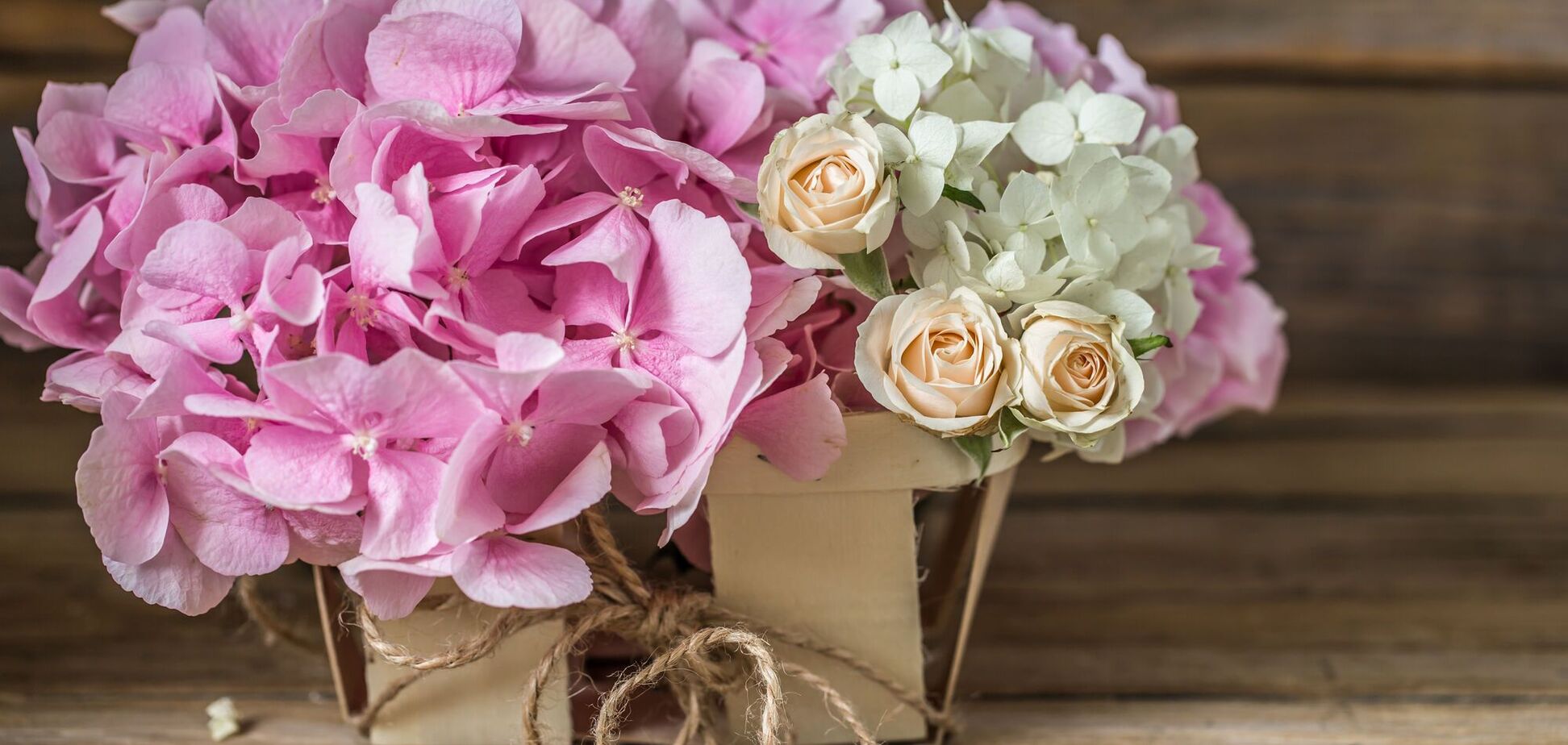 Как сделать так, чтобы гортензии стали ярко розовыми: инструкция