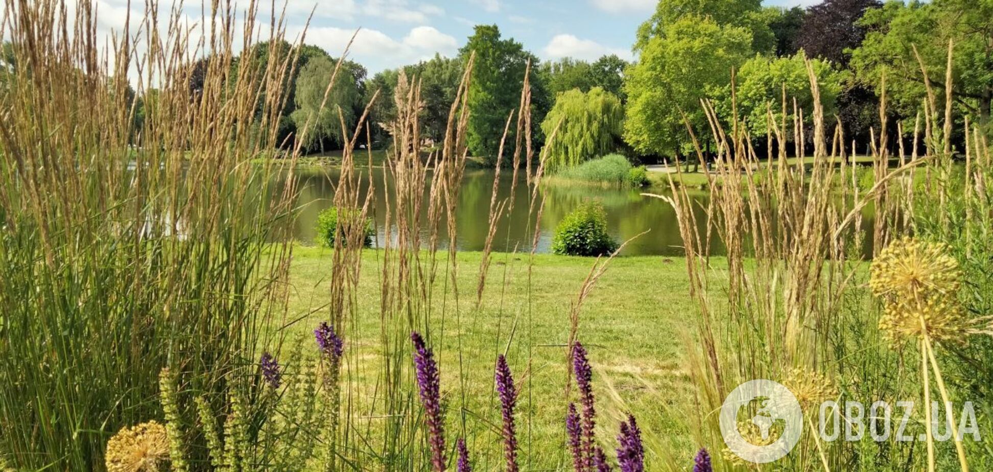 В Украину несется адская жара до +37: в Гидрометцентре назвали даты и сообщили о 'перерывах'