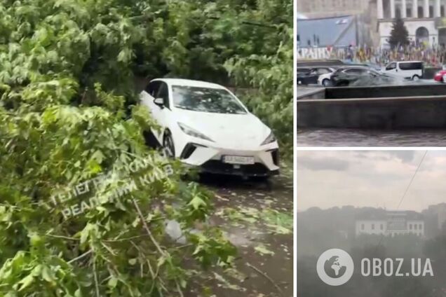Київ накрив потужний шторм: негода повалила дерева і будівельний кран. Відео