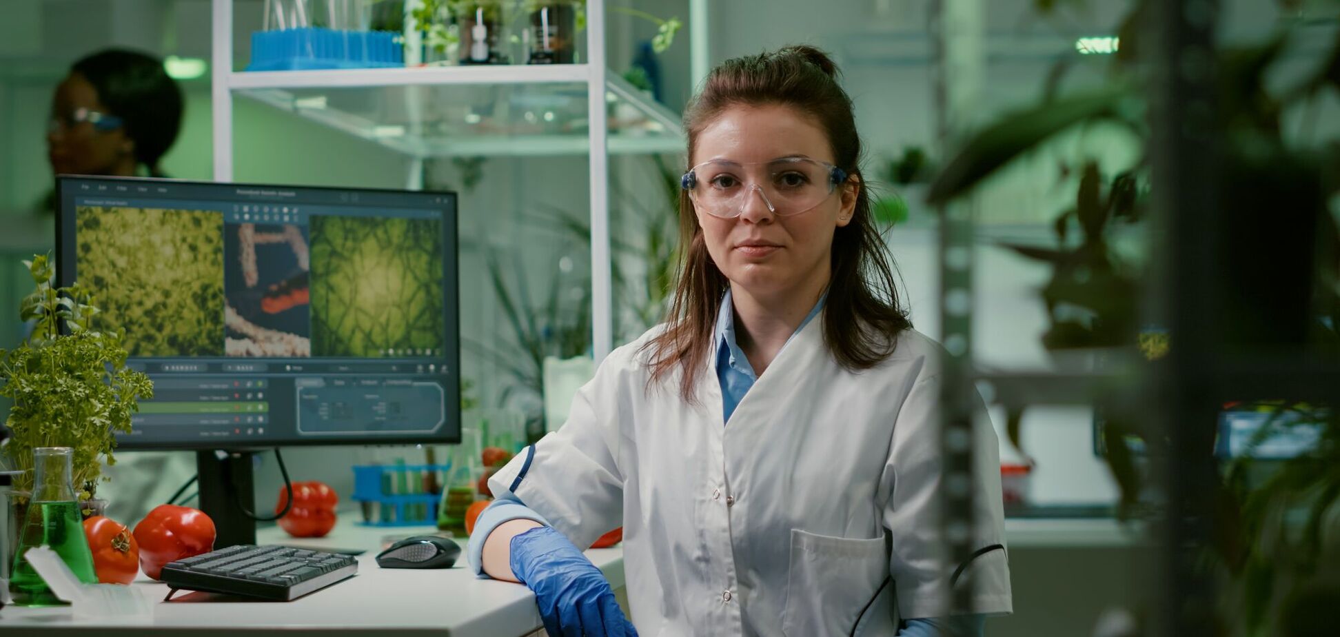 Занимает 43 га: ученые назвали самый старый живой организм на планете