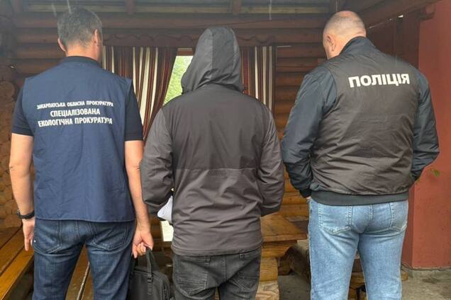 На Закарпатті незаконно вирубали лісу на 56 мільйонів гривень