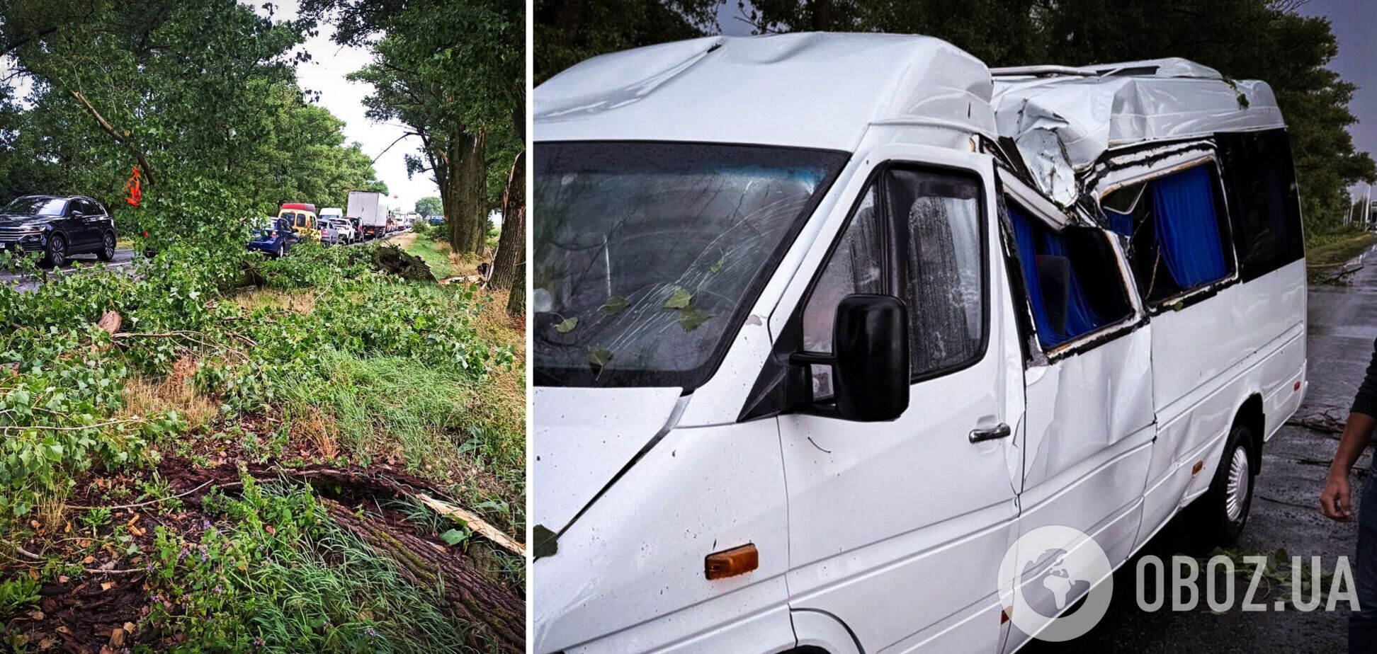 На Киевщине дерево упало прямо на маршрутку, которая проезжала рядом. Фото и подробности