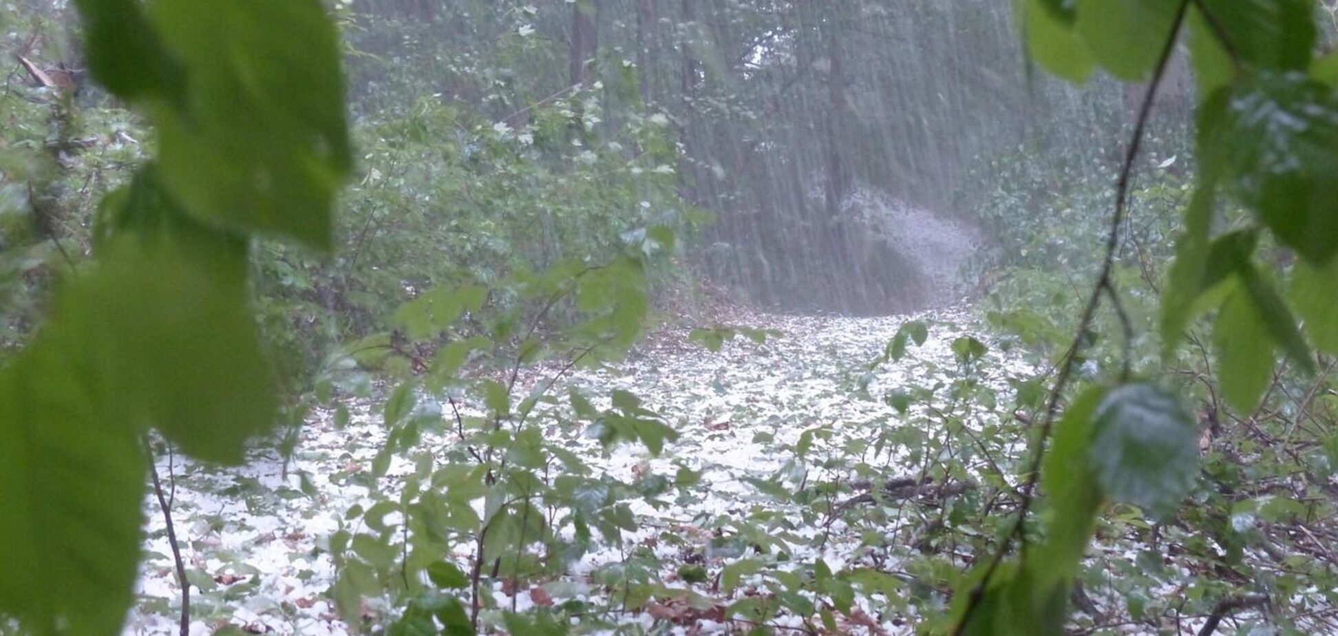 Місцями пройдуть град та шквали: синоптики зробили застереження щодо погоди на середу