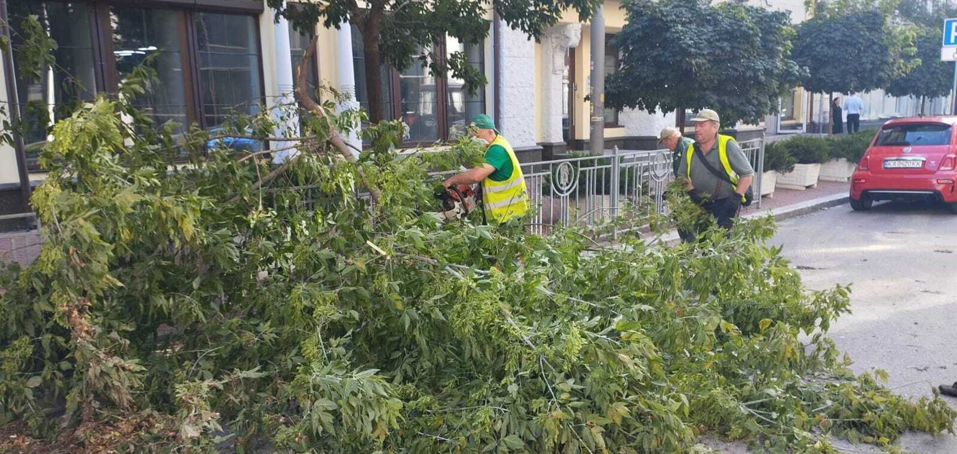 В КГГА рассказали о последствиях непогоды, которая бушевала в Киеве 22 июля. Подробности и фото