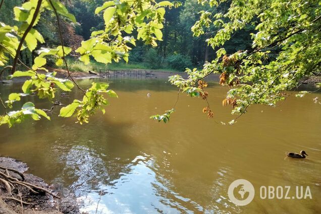 Дожди и грозы, а на юге жара: какой будет погода в Украине 7 августа