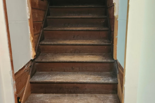 Американка випадково знайшла у своєму будинку таємні сходи: що це було