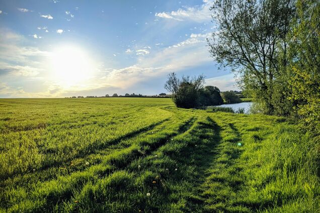 Яке свято відзначають 30 липня: все про цей день