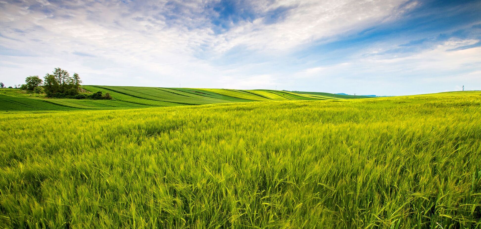 АМКУ разрешил основателю ОККО приобрести ООО 'Кайрос-Холдинг'