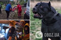 В Киеве две породистые собаки тяжело травмировали женщину: поломали ногу и прокусили вену. Все подробности и видео