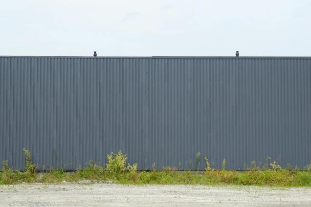 Как избавиться от сорняков на гравии без химии и уксуса: простой метод