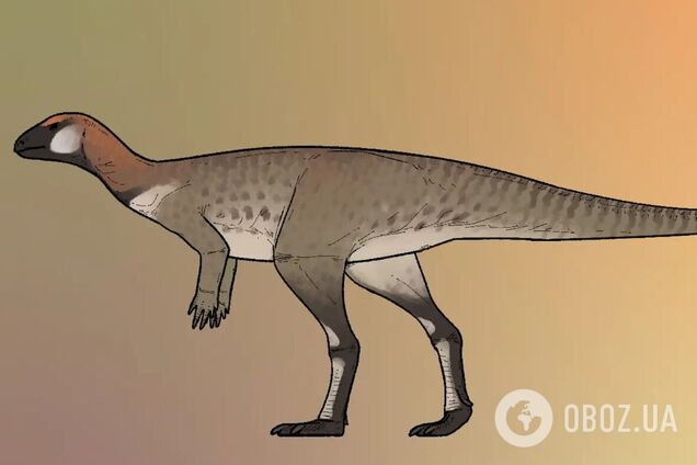 У Китаї виявили новий вид динозаврів