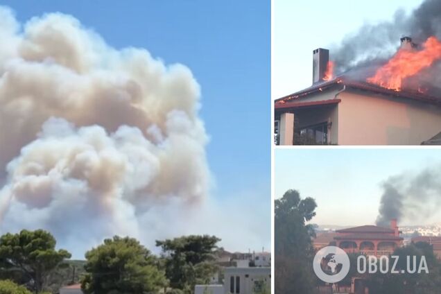 У Греції через аномальну спеку вирують лісові пожежі