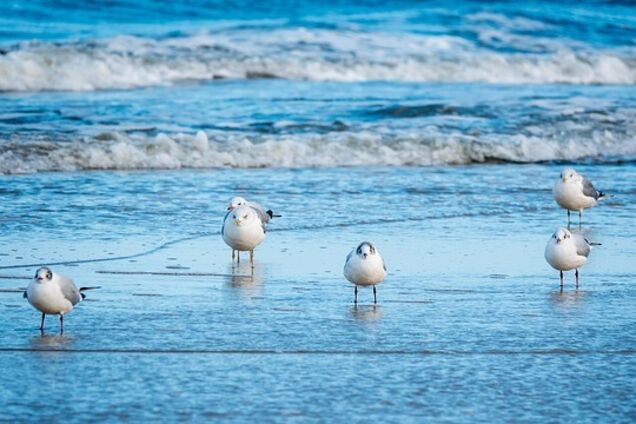 Пляжи Одеси