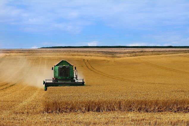 Иллюстрация - аграрий на комбайне собирает пшеницу