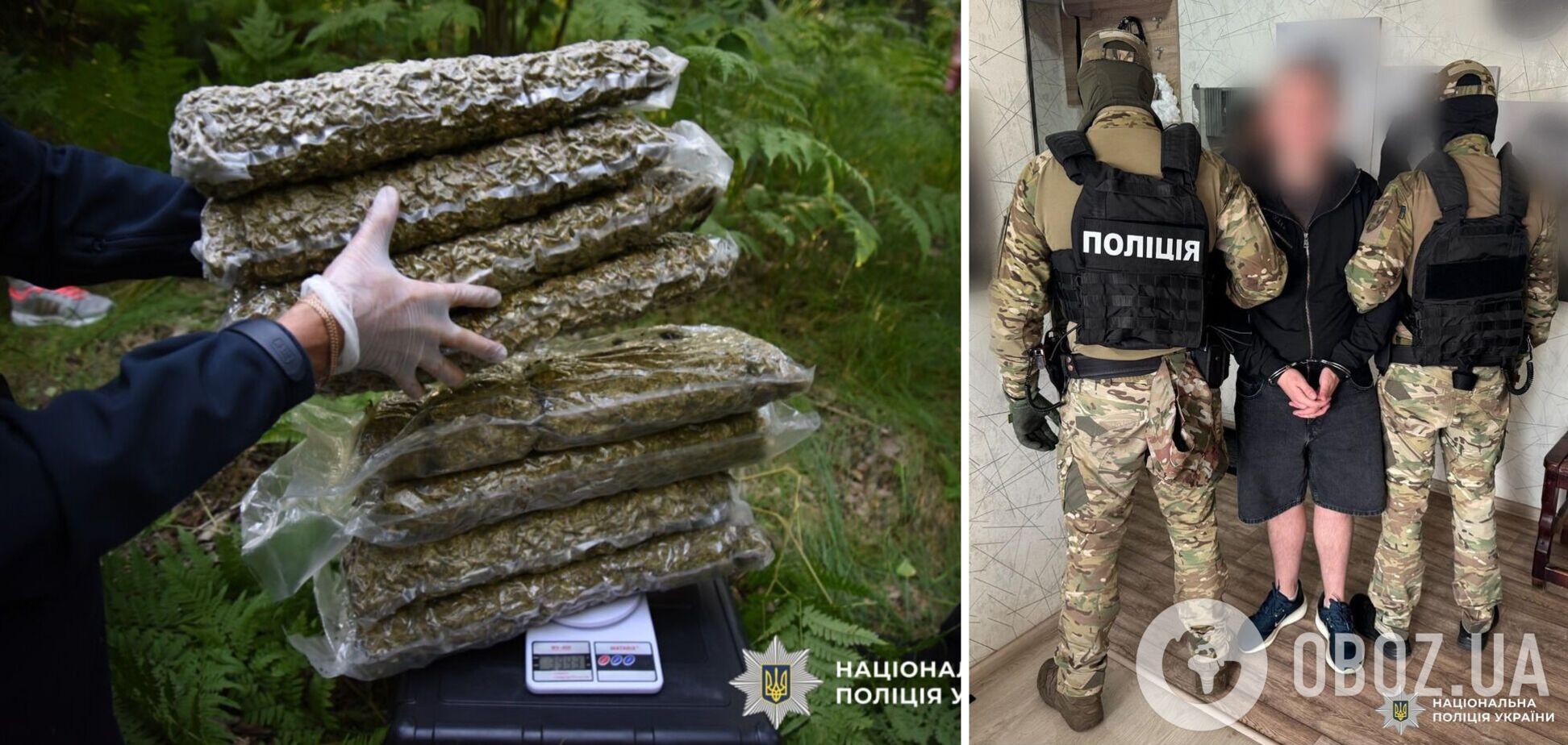 Нацполіція ліквідувала банду, яка щомісячно заробляла 20 млн грн на наркоторгівлі. Фото