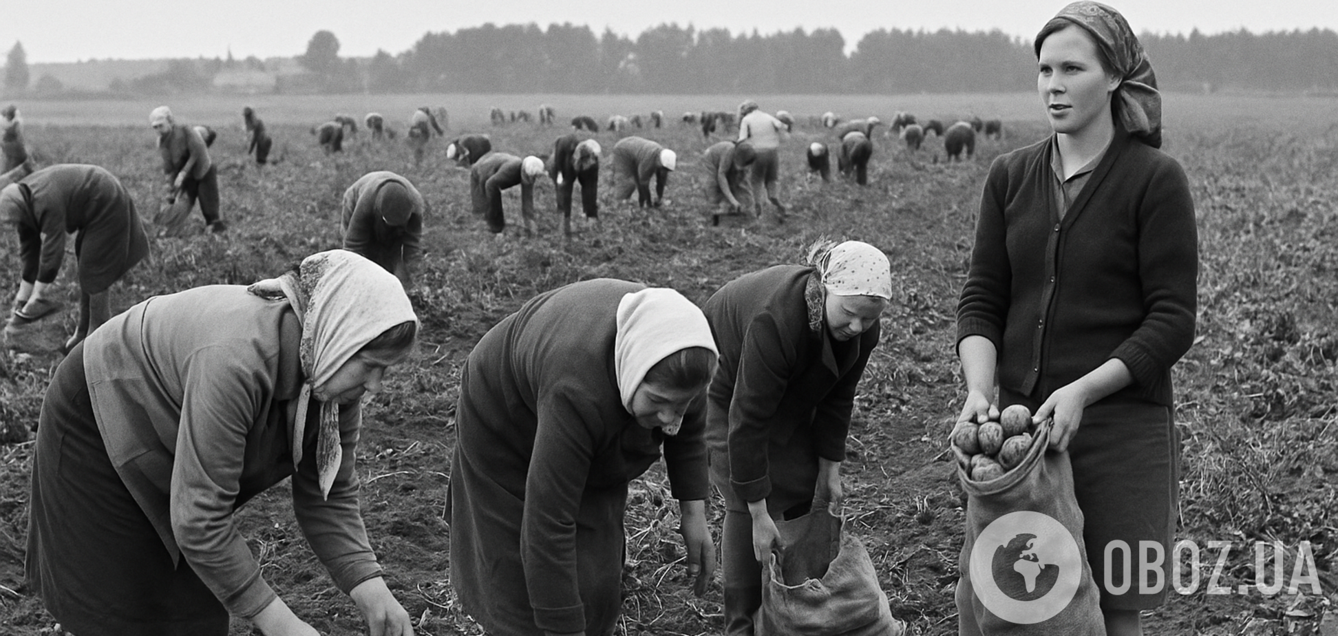 За мізерні гроші: кого в СРСР відправляли збирати урожай