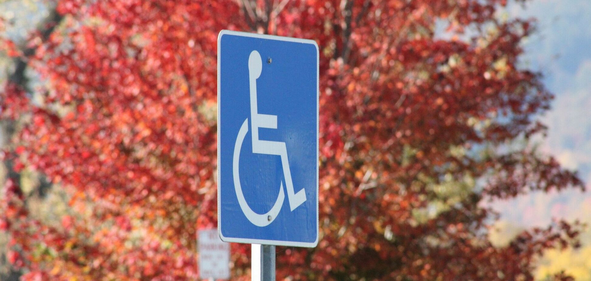 Иллюстрация - дорожный знак для людей с инвалидностью