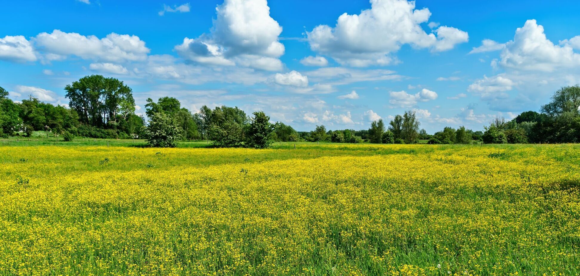 Яке свято відзначають 8 липня: церковний календар