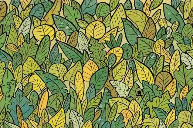 Найдите трех хамелеонов: интересная головоломка