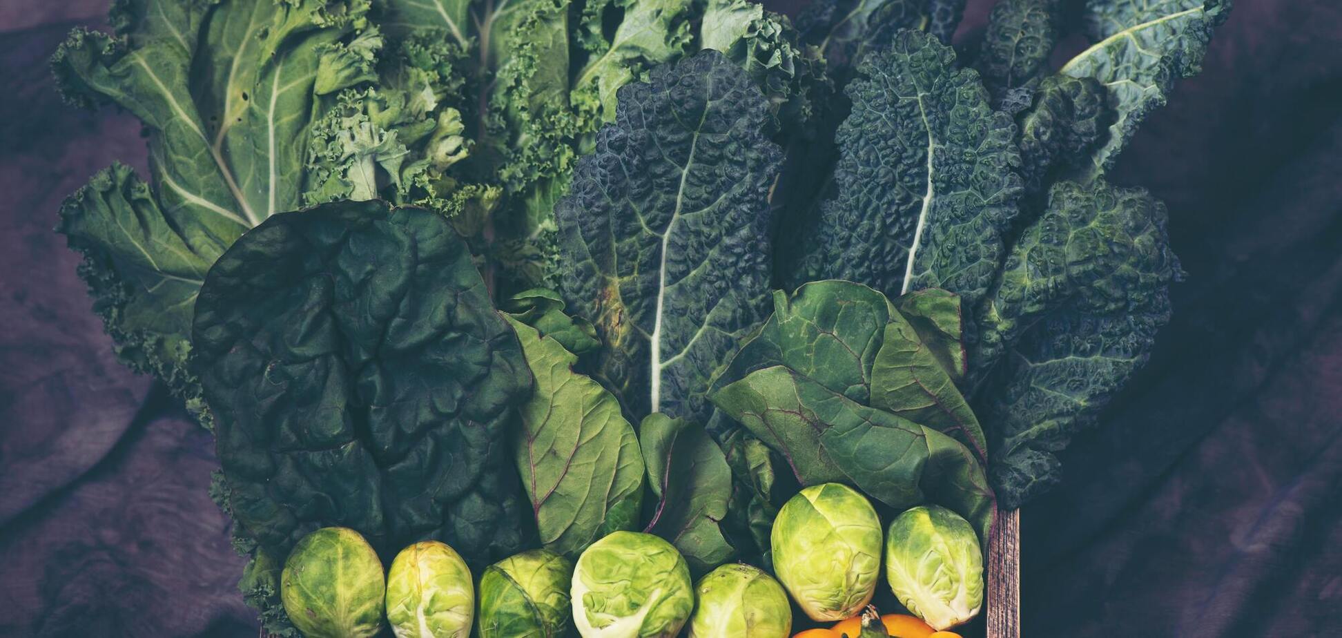 Как спасти капусту от слизней и гусениц: эффективные советы