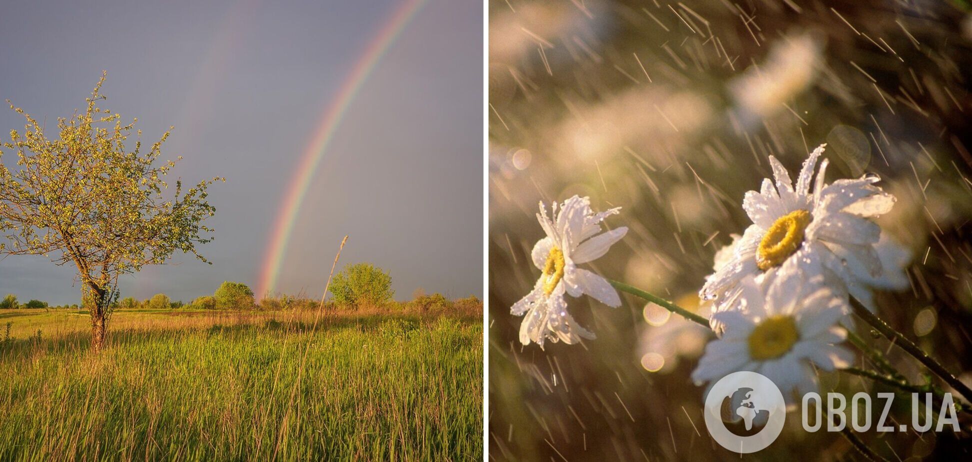 До +34, но в одном регионе грозы: прогноз погоды на 14 июля