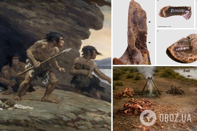 У Німеччині археологи знайшли 'фабрику жиру', яку організували неандертальці