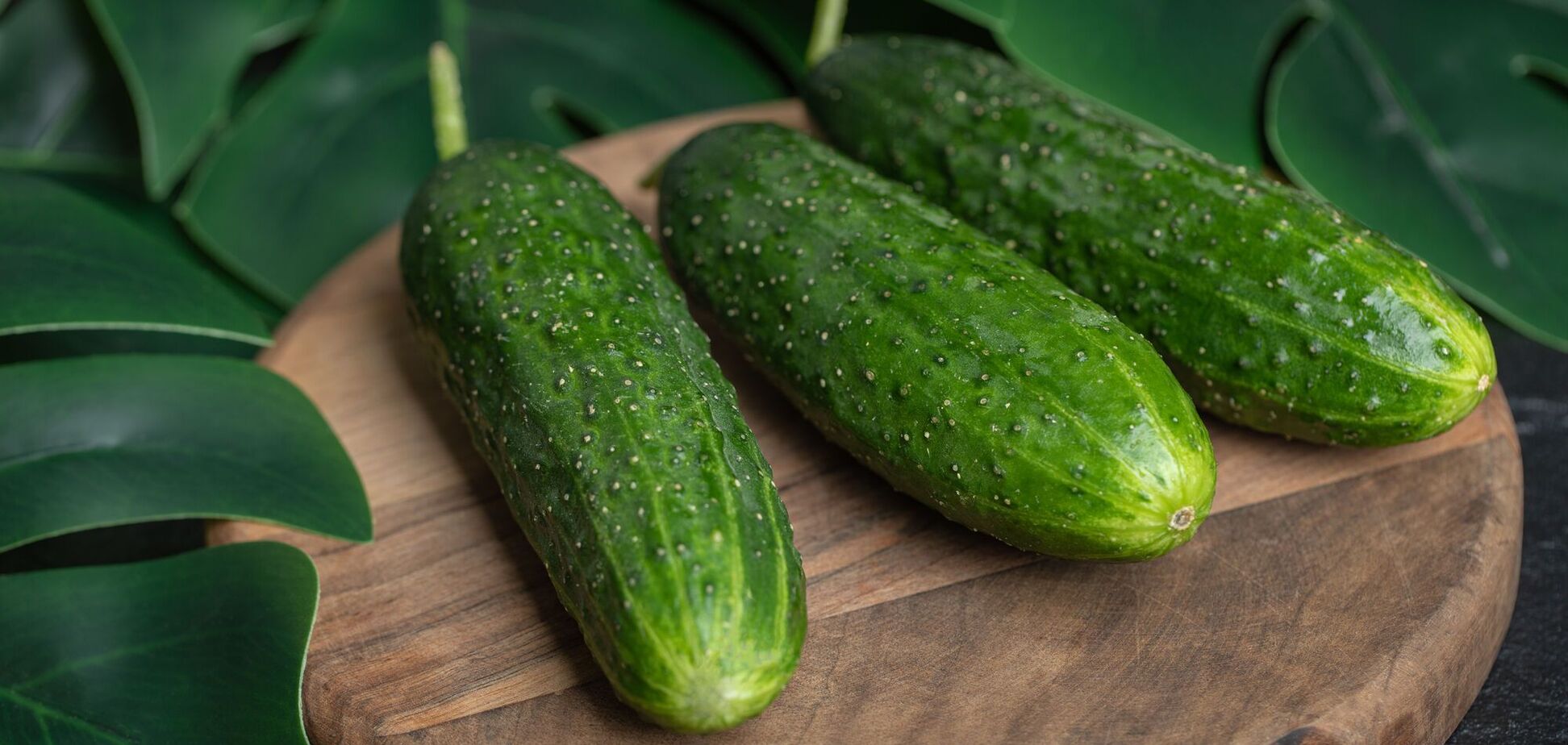 Не выбрасывайте горькие огурцы: как вернуть овощам хороший вкус за считаные минуты