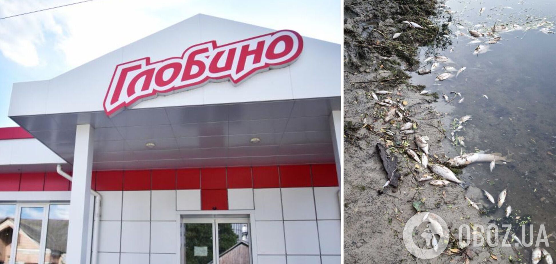 'В тебе двоє дітей, тому краще мовчати': Голобуцький заявив про тиск представників 'Глобино' на активістів через забрудення річки Псел