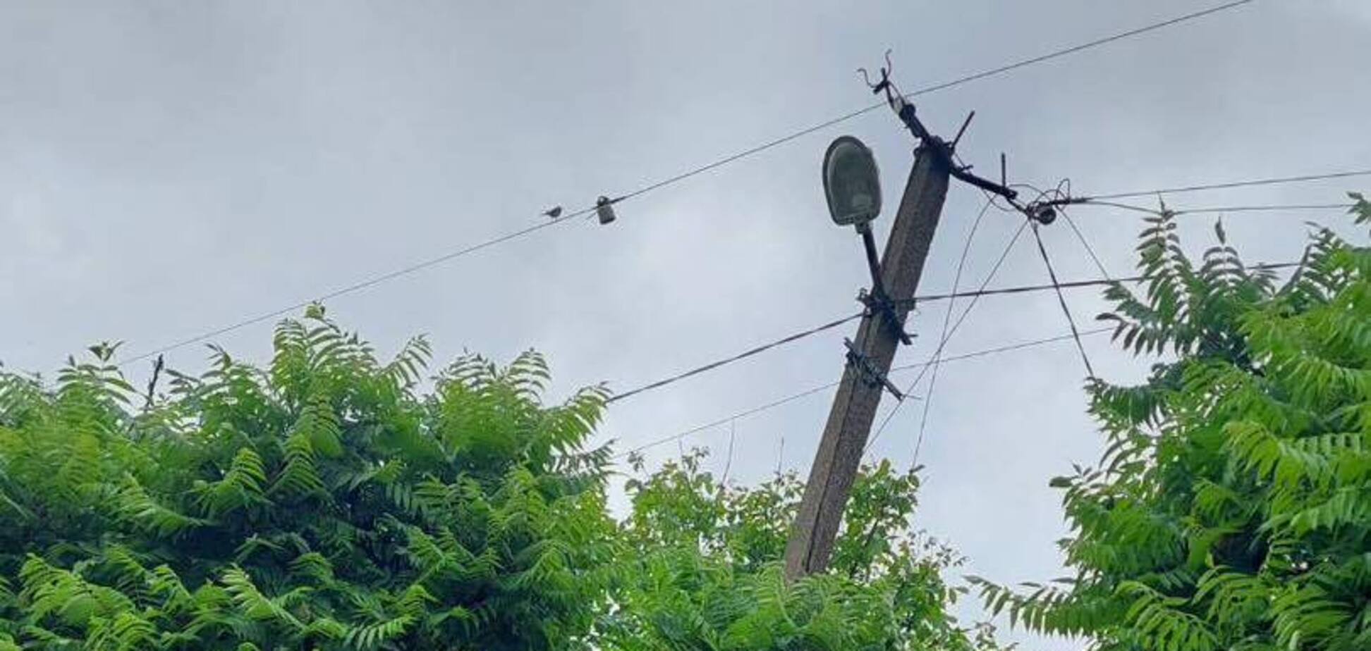 Енергетики Рівненщини показали обірвані ураганом дроти
