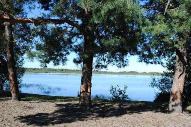 Відпочинок на Шацьких озерах