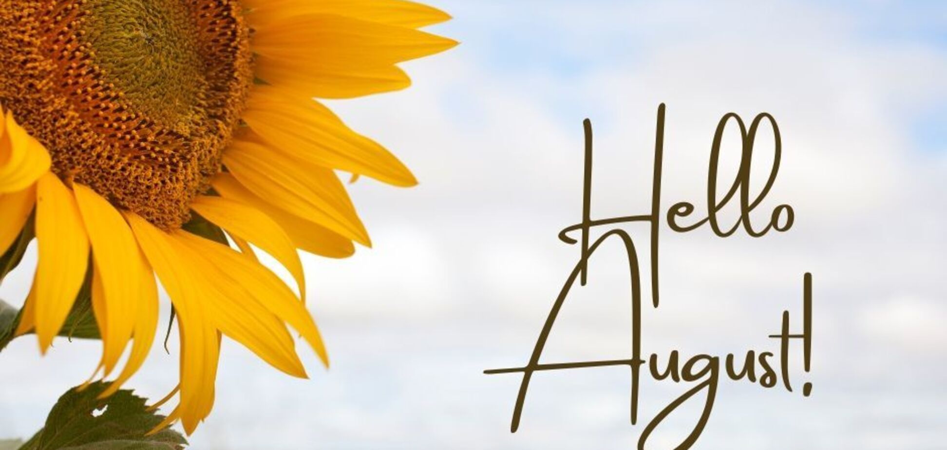 Температура будет выше нормы, но: синоптик рассказала, какой погоды ждать в Украине в августе