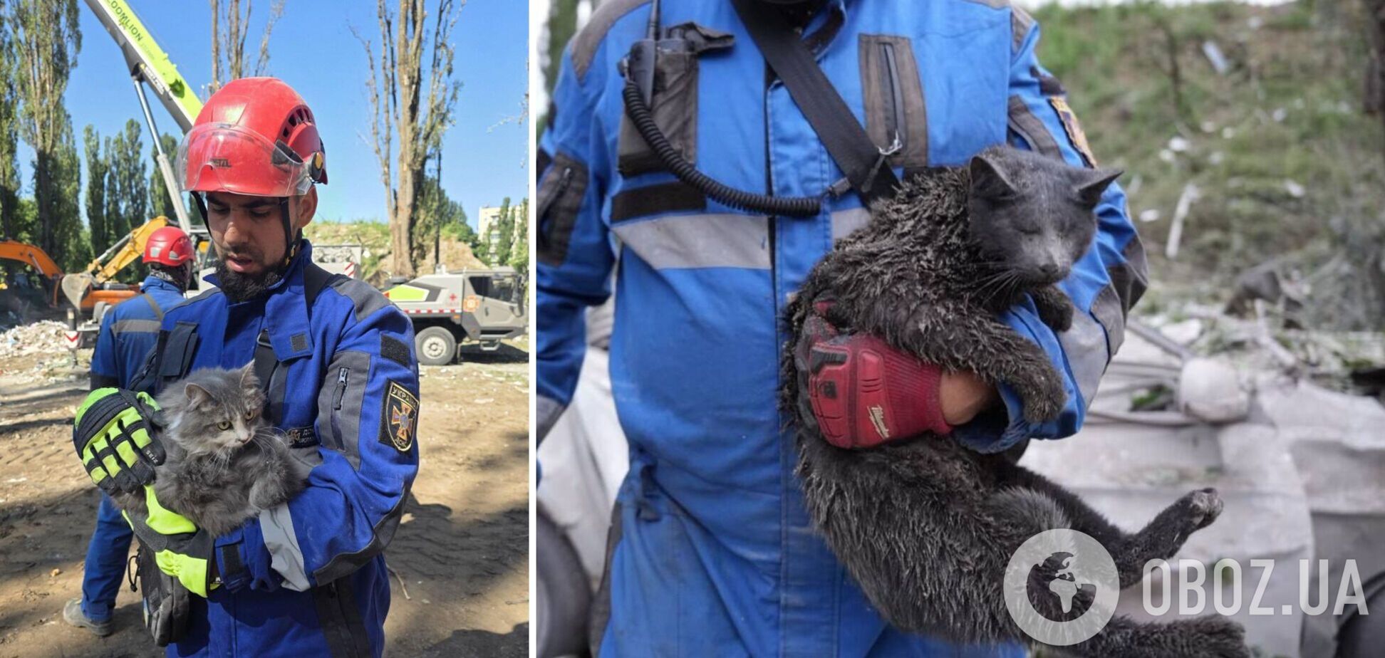 'Дрожал, не понимал, что происходит': в Киеве из-под завалов спасли кота, владельцев которого убила российская ракета. Фото
