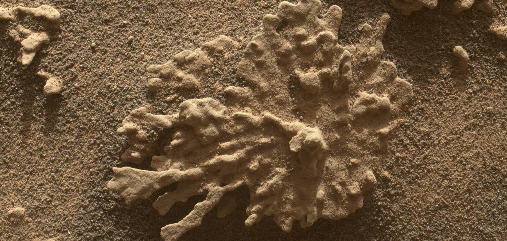 Фантастические формы: на Марсе обнаружили необычный камень, похожий на кораллы