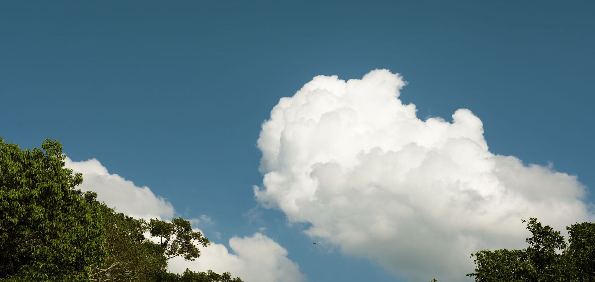 Некоторые области накроет похолодание: какой будет погода в Украине 11 августа