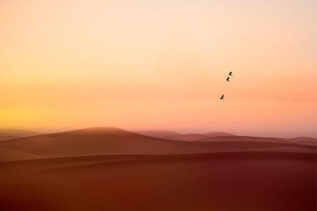 В Украине продолжительность лета может вырасти до 180 дней, в одной из областей возникнет пустыня: климатолог дала прогноз