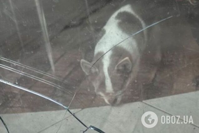 Окупанти вдарили дронами й артилерією по Дніпропетровщині: постраждало шість осіб. Фото