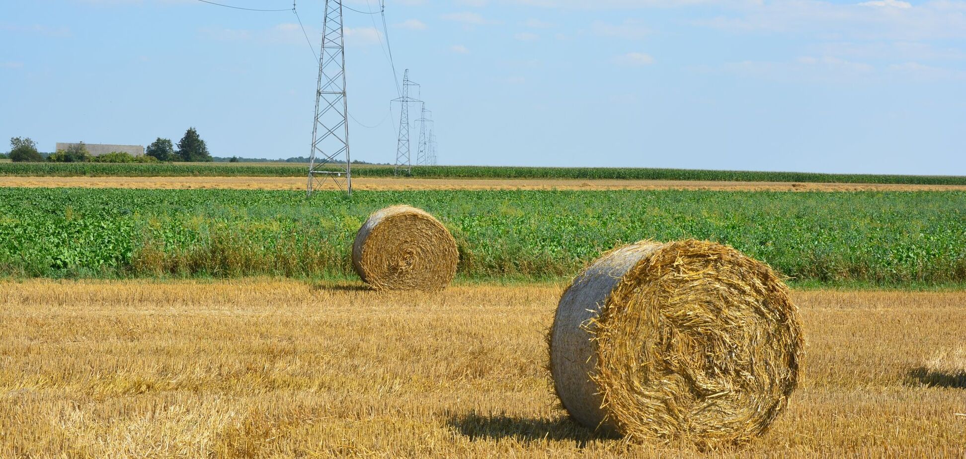 Жара усилится, но ненадолго: синоптик назвала дату похолодания в Украине. Карта