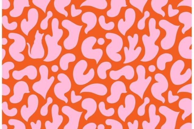 Де кіт? Цікава головоломка з підступом