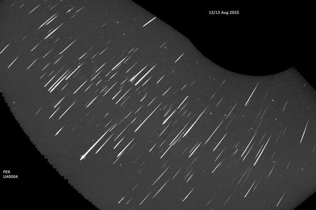По 200-300 метеоров за ночь: пик Персеид в Украине показали на захватывающих фото и видео