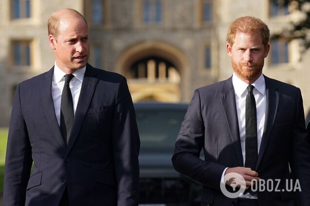 'Якби вона була поряд...' Королівський експерт припустив, як принцеса Діана помирила б синів Вільяма і Гаррі після багаторічної ворожнечі