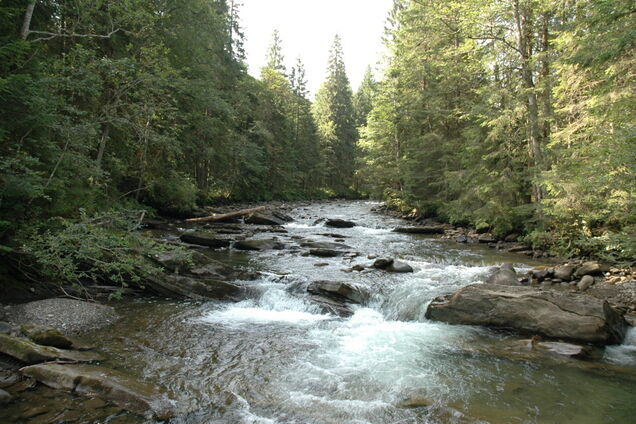 Річку Прут показали на старих чорно-білих фото