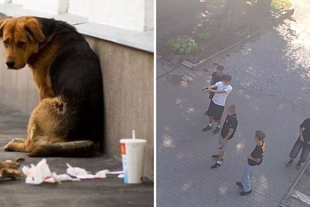 В центре Кривого Рога подростки при людях стреляли из пневмата по животным. Фото