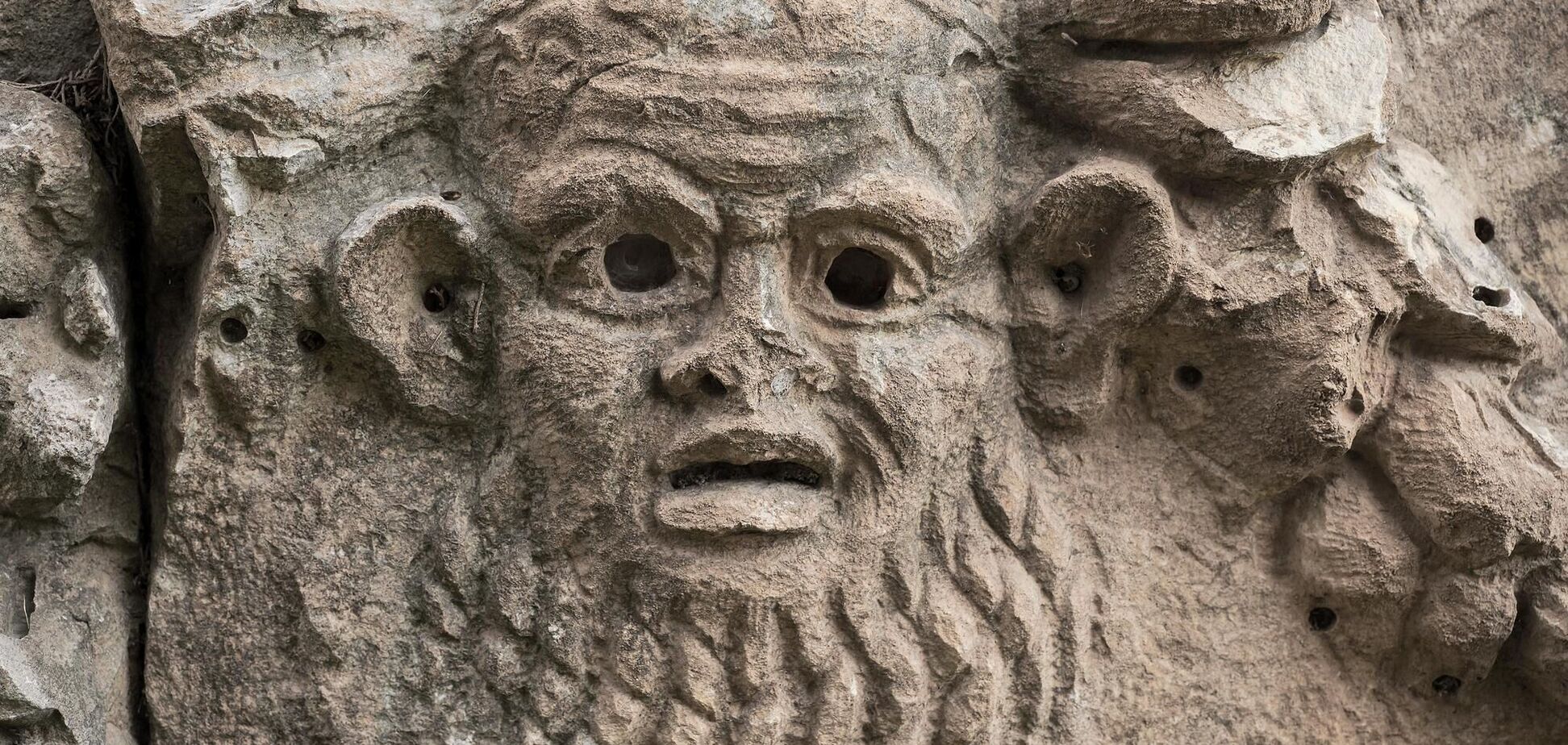 Каким был первый вид человека: ученые дали ответы