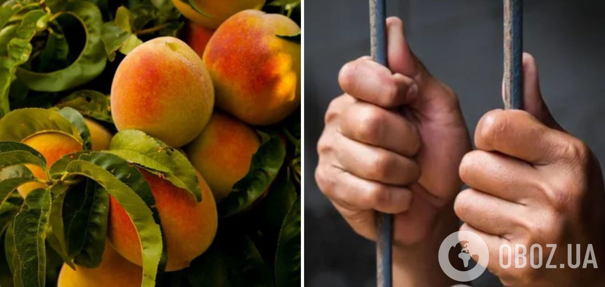 На Чернігівщині чоловік катував малолітніх дітей співмешканки: як його покарали