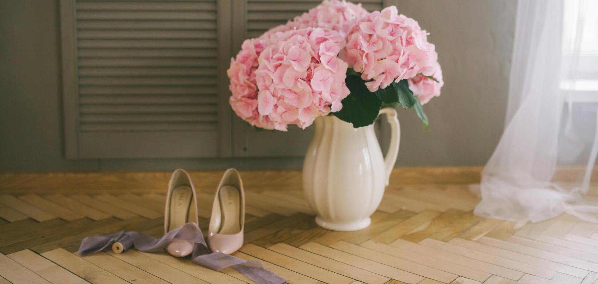 Что сделать в августе, чтобы гортензии цвели ярче и обильнее