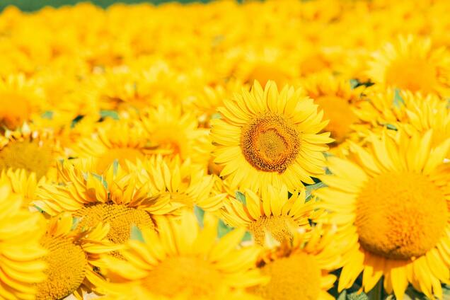 Какой праздник отмечают 25 августа: церковный календарь