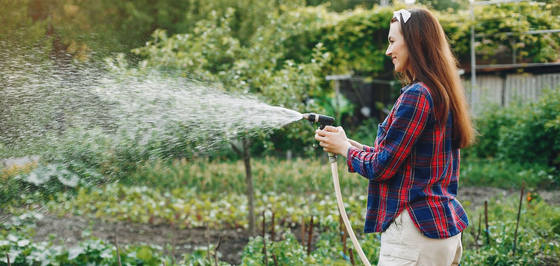 Какие растения нельзя поливать шлангом: как правильно вместо этого