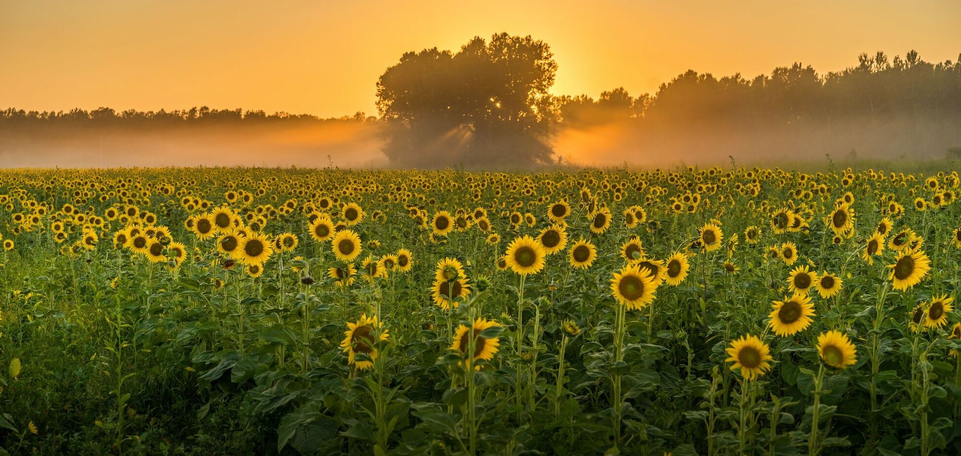 Какой праздник отмечают 29 августа: церковный календарь